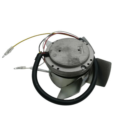 Ειδικότερα, η Επιτροπή θα πρέπει να λάβει υπόψη της την έκθεση της Επιτροπής σχετικά με την εφαρμογή του παρόντος κανονισμού.